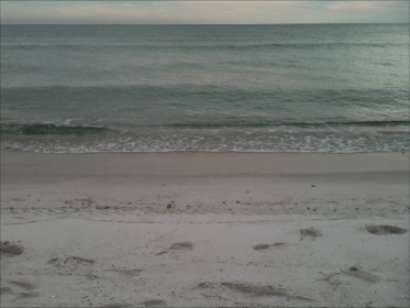 beach at gulf shores alabama