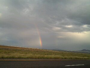 IMG_20120820_191130.jpg image