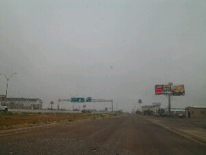 IMG_20120821_094330.jpg image